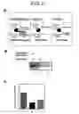 Fig. 06 - Method for forming a stable complex comprising a transcription product and translation product of a dna encoding a desired polypeptide, a nucleic acid construct used for the method, a complex formed by the method, and screening of a functional protein and mrna or dna encoding the protein using the method