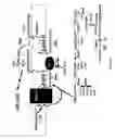 Fig. 03 - Antibiotics based upon bacteriophage lysis proteins