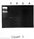 Fig. 04 - Methods for the detection of brain-specific gene transcripts in blood and uses thereof