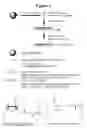 Fig. 02 - RNA interference mediated treatment of polyglutamine (polyQ) repeat expansion diseases using short interfering nucleic acid (siNA)