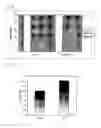 Fig. 06 - Method to isolate genes involved in aging