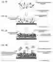 Fig. 05 - Methods for detecting biopolymers; biochips; methods for immobilizing antibodies; and substrates to which antibodies are immobilized
