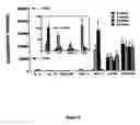 Fig. 06 - Nucleic acid analysis techniques