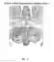 Fig. 09 - Urocortin proteins and uses thereof
