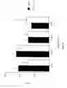 Fig. 16 - Urocortin proteins and uses thereof