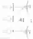 Fig. 20 - Urocortin proteins and uses thereof