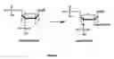 Fig. 03 - Methods for production of arrays with modified oligonucleotide and polynucleotide compositions