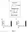 Fig. 07 - Molecular regulatory circuits to achieve sustained activation of genes of interest by a single stress