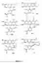 Fig. 04 - Labelled oligonucleotides synthesized on solid-supports
