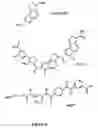 Fig. 07 - Labelled oligonucleotides synthesized on solid-supports