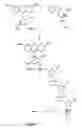Fig. 08 - Labelled oligonucleotides synthesized on solid-supports