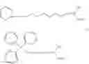 Fig. 16 - Labelled oligonucleotides synthesized on solid-supports