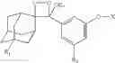 Fig. 22 - Labelled oligonucleotides synthesized on solid-supports