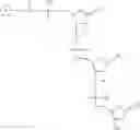 Fig. 32 - Labelled oligonucleotides synthesized on solid-supports