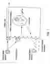 Fig. 02 - Method for kidney disease detection