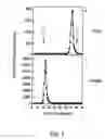 Fig. 03 - Method for kidney disease detection