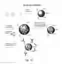 Fig. 17 - Composite organic-inorganic nanoclusters