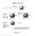 Fig. 18 - Composite organic-inorganic nanoclusters