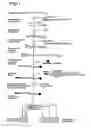 Fig. 02 - Method of identification and cloning differentially expressed messenger RNAs