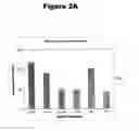 Fig. 03 - Antisense oligonucleotides and RNA-interfering molecules targeting PAK4