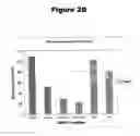 Fig. 04 - Antisense oligonucleotides and RNA-interfering molecules targeting PAK4