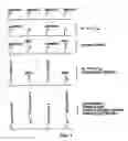 Fig. 02 - Methods of using an array of pooled probes in genetic analysis