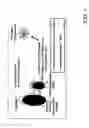 Fig. 04 - Therapeutic nucleic acid-3' -conjugates