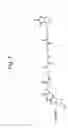 Fig. 08 - Methods for fragmenting DNA
