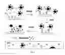 Fig. 04 - Method for multiplexed analyte detection