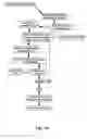 Fig. 06 - Identifying oligonucleotides for in vitro recombination
