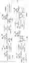 Fig. 04 - Nucleic acid base pair