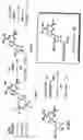 Fig. 05 - Nucleic acid base pair