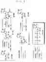 Fig. 06 - Nucleic acid base pair