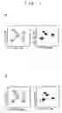 Fig. 14 - Nucleic acid base pair