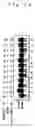 Fig. 15 - Nucleic acid base pair