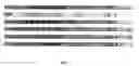 Fig. 02 - Rapid classification of biological components