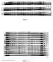 Fig. 03 - Rapid classification of biological components