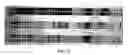 Fig. 06 - Rapid classification of biological components