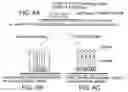 Fig. 07 - Clinically intelligent diagnostic devices and methods