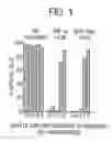 Fig. 02 - Compounds, methods of screening, and in vitro and in vivo uses involving anti-apoptotic genes and anti-apoptotic gene products