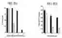 Fig. 10 - Compounds, methods of screening, and in vitro and in vivo uses involving anti-apoptotic genes and anti-apoptotic gene products