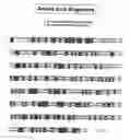 Fig. 04 - Nematode GS-like sequences