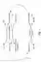Fig. 02 - Human methionine synthase reductase: cloning, and methods for evaluating risk of neural tube deffects, cardiovascular disease, cancer and Down's Syndrome