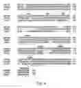 Fig. 09 - Human methionine synthase reductase: cloning, and methods for evaluating risk of neural tube deffects, cardiovascular disease, cancer and Down's Syndrome