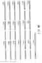 Fig. 22 - Nucleic acids encoding a novel influenza virus non-structural protein (NS1)-binding host factor designated NS1I-1