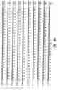 Fig. 28 - Nucleic acids encoding a novel influenza virus non-structural protein (NS1)-binding host factor designated NS1I-1