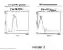 Fig. 16 - Universal peptide-binding scaffolds and protein chips