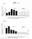 Fig. 06 - Medicinal use of histone deacetylase inhibitor and method of evaluating antitumor effect thereof