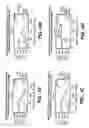 Fig. 06 - Modulators of B-lymphocyte activation, myosin-1F compositions and methods of use