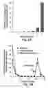 Fig. 04 - Streptavidin-binding peptides and uses thereof